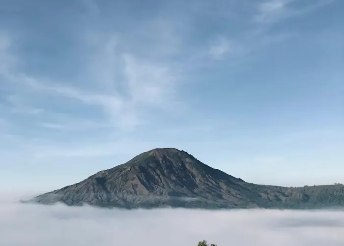 Pinggan Foggy Gasthof *
