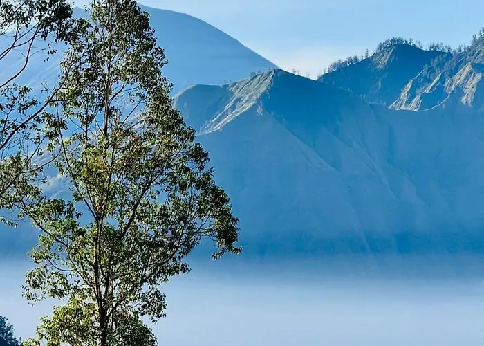 Pinggan Foggy Baturaja (Bali)